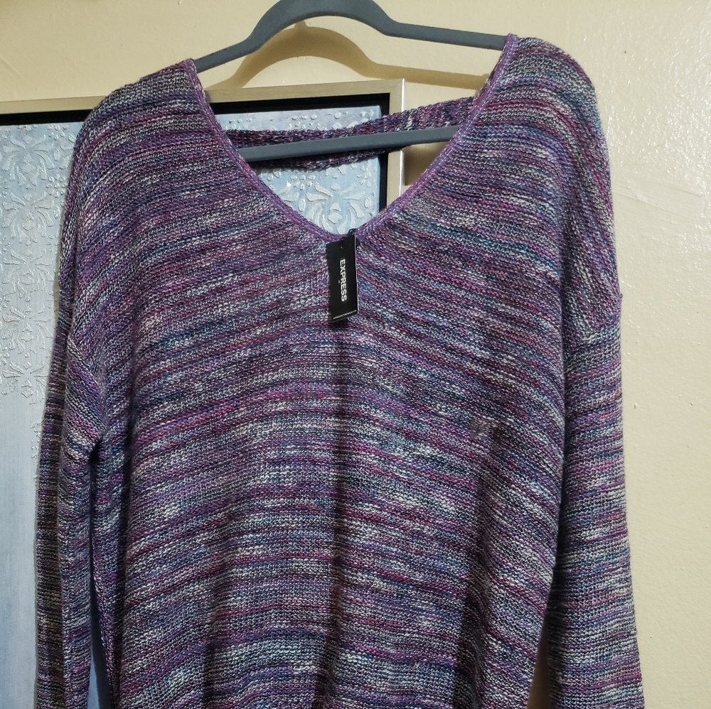 Express women sweater